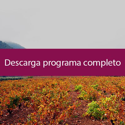 Descargar programa completo