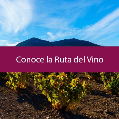 Conoce la ruta del vino