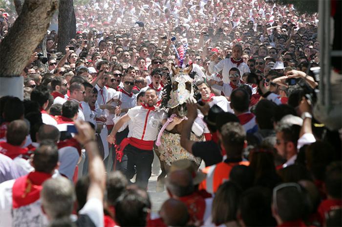 FIESTAS DE LA SANTSIMA Y VERA CRUZ, MOROS Y CRISTIANOS Y CABALLOS DEL VINO