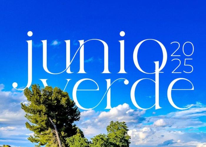 JUNIO VERDE JUNIO VERDE