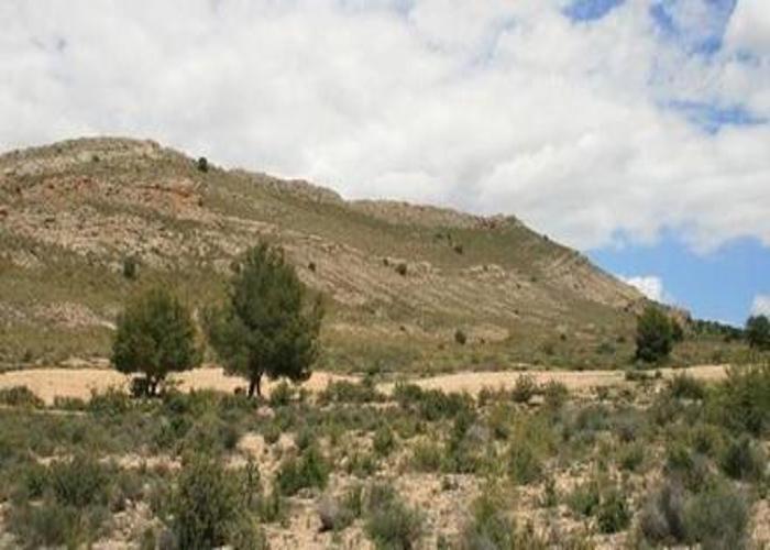 II JORNADAS INTERNACIONALES DE TURISMO DEPORTIVO: RUTA LA YESERA