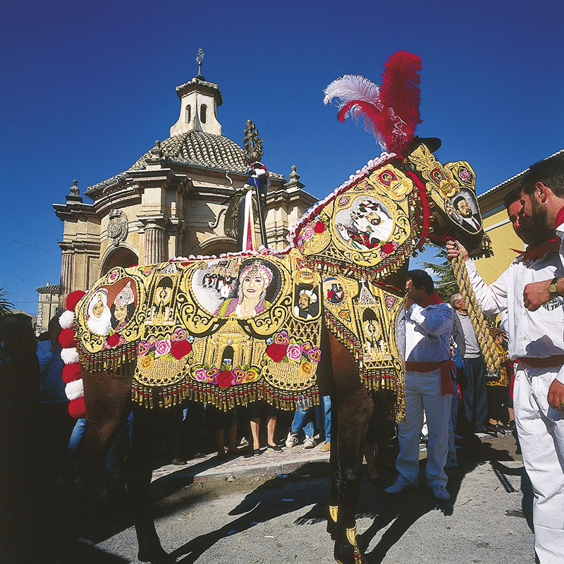 Caballos del vino Caballos del vino