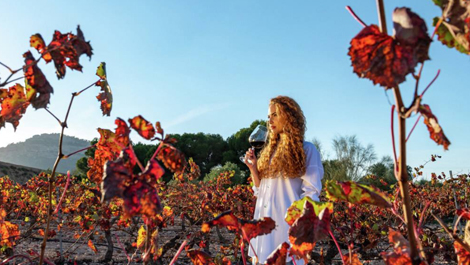 The Region of Murcia, your next great wine adventure The Region of Murcia, your next great wine adventure