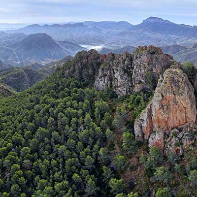 Cresta del Gallo Murcia